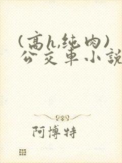 (高h,纯肉)公交车小说