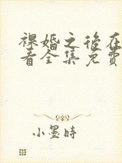 裸婚之后在线观看全集免费