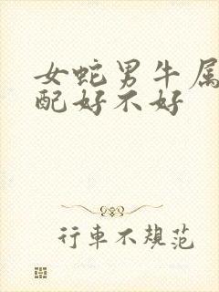 女蛇男牛属相婚配好不好