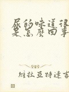 尿的味道很难闻是怎么回事