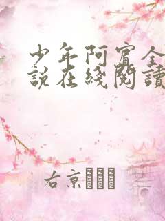 少年阿宾全集小说在线阅读