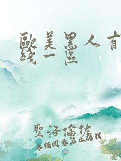 欧美黑人有码在线一区