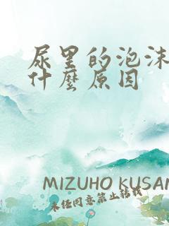 尿里的泡沫多是什么原因