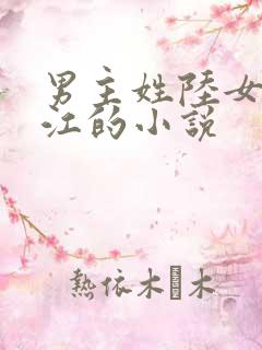 男主姓陆女主姓江的小说