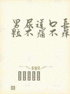 男尿道口长小肉粒不痛不痒