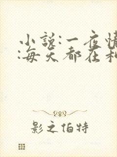 小说:一夜情深:每天都在和大佬谈恋爱