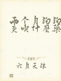 两个月狗狗肠胃炎吃什么药