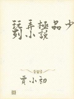 玩弄极品少妇系列小说