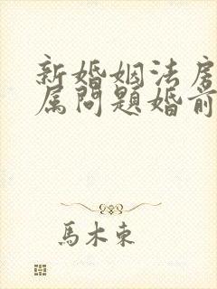 新婚姻法房子归属问题婚前买的房子