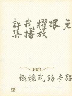 许我耀眼免费全集播放