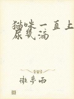 猫咪一直上厕所尿几滴