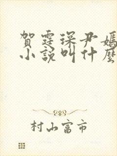 贺霆琛尹嫣原著小说叫什么名字