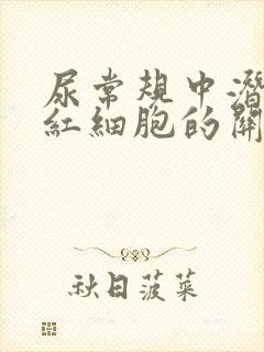 尿常规中潜血和红细胞的关系