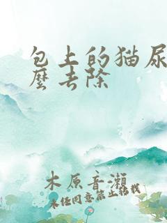 包上的猫尿味怎么去除