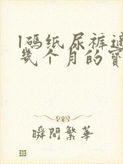 l码纸尿裤适合几个月的宝宝