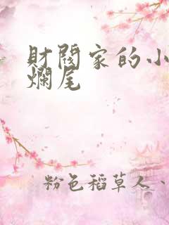 财阀家的小儿子烂尾