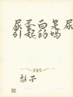 尿蛋白是尿酸高引起的吗