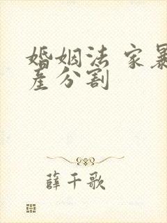 婚姻法 家暴财产分割