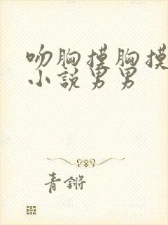 吻胸摸胸摸下面小说男男