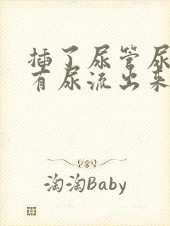 插了尿管尿道口有尿流出来