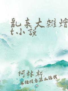 乱来大杂烩txt小说