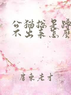 公猫总是蹲着尿不出来怎么办