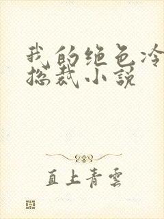 我的绝色冷艳女总裁小说