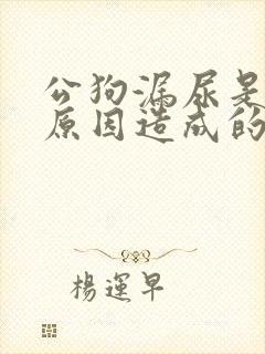 公狗漏尿是什么原因造成的