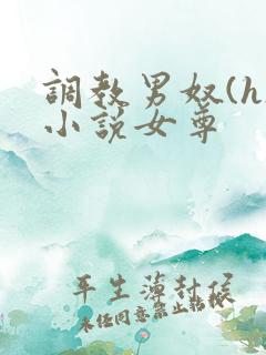 调教男奴(h)小说女尊