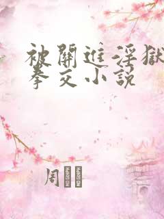 被关进淫狱调教拳交小说