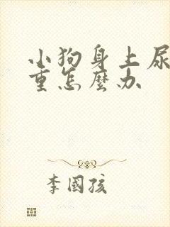 小狗身上尿骚味重怎么办