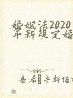 婚姻法2020年新规定婚内出轨财产分割