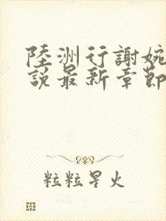 陆洲行谢婉雪小说最新章节