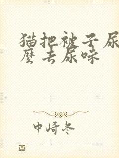 猫把被子尿了怎么去尿味