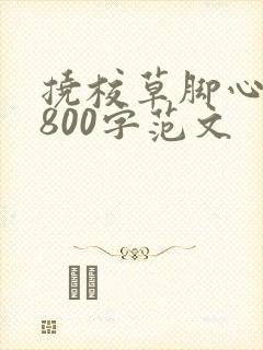 挠校草脚心作文800字范文