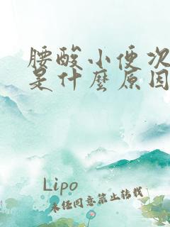 腰酸小便次数多是什么原因