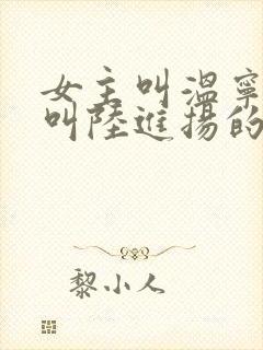 女主叫温宁男主叫陆进扬的小说