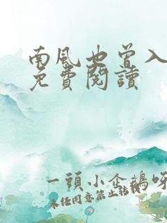 南风也曾入我怀免费阅读