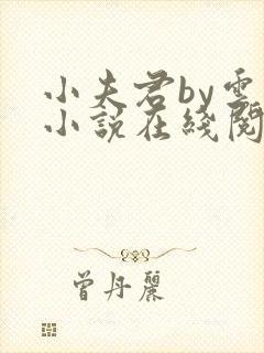 小夫君by云间小说在线阅读全文