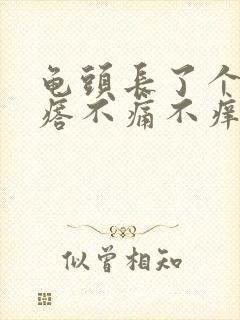 龟头长了个红疙瘩不痛不痒