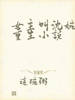 女主叫沈婉婉的重生小说