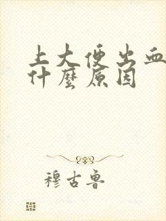 上大便出血疼是什么原因