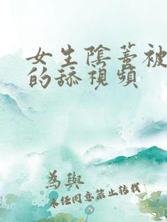 女生阴蒂被俩男的舔视频