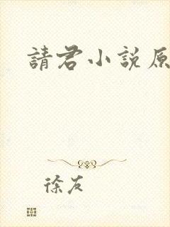 请君小说原著