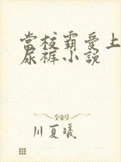 当校霸爱上穿纸尿裤小说