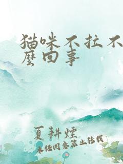 猫咪不拉不尿怎么回事