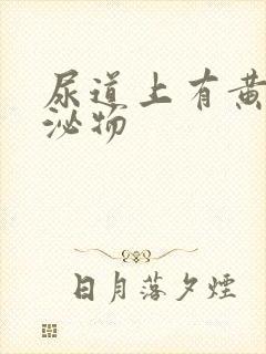 尿道上有黄色分泌物