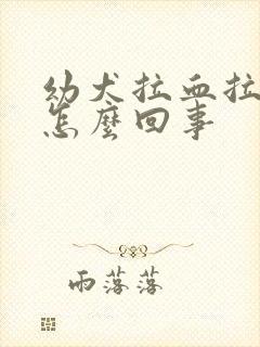 幼犬拉血拉稀是怎么回事