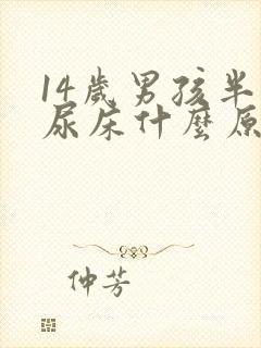 14岁男孩半夜尿床什么原因