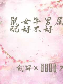 鼠女牛男属相婚配好不好